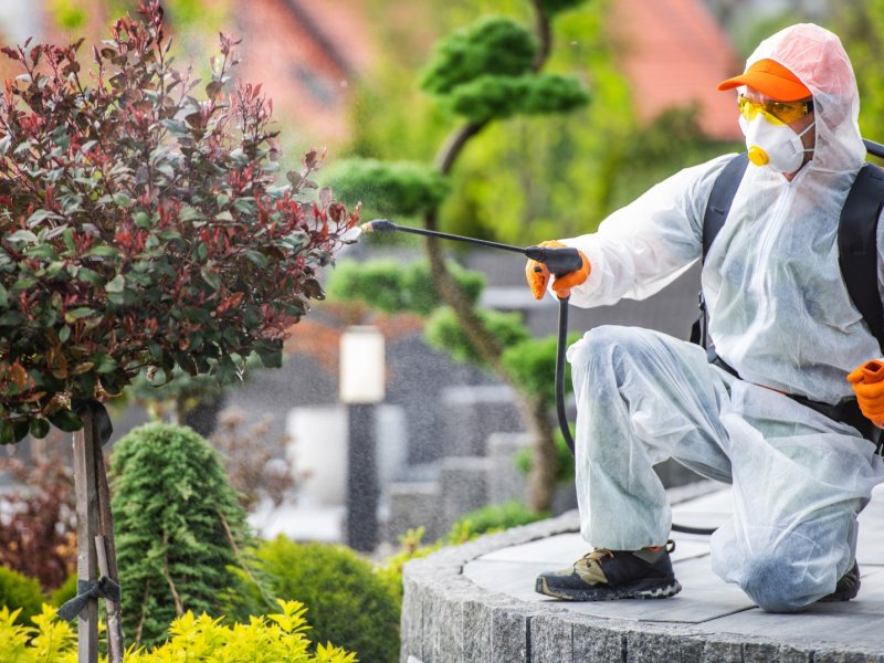 Egekent Haşere İlaçlama