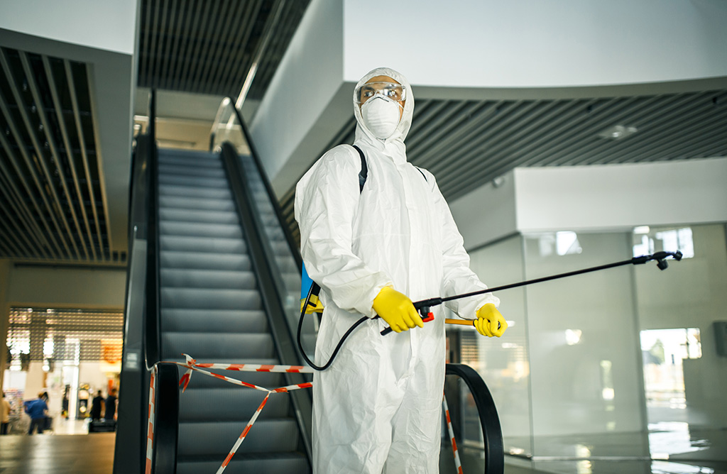 Egekent Haşere İlaçlama